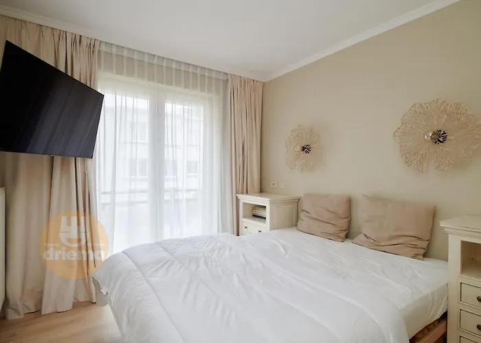 Zeepanne 1a0 科克赛德