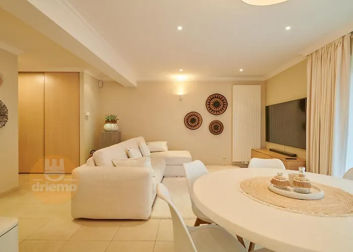 Zeepanne 1a0 * 科克赛德